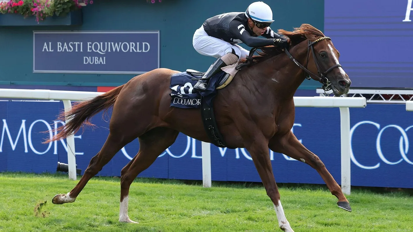 gambar dari Kuda Bacio Menangi Nunthorpe Stakes